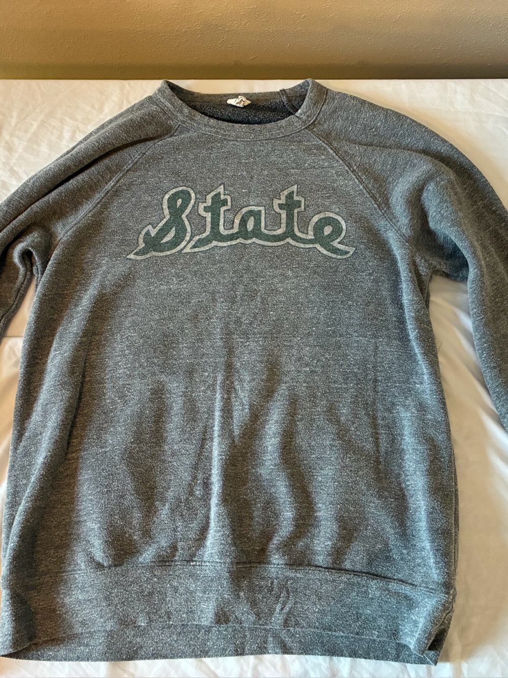 Mitten State “State” Sweatshirt- M